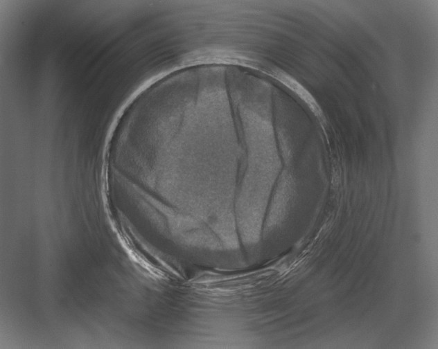 X0000081571144200702121415