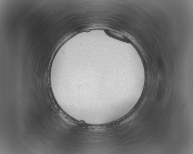 X0000081571145200702121415