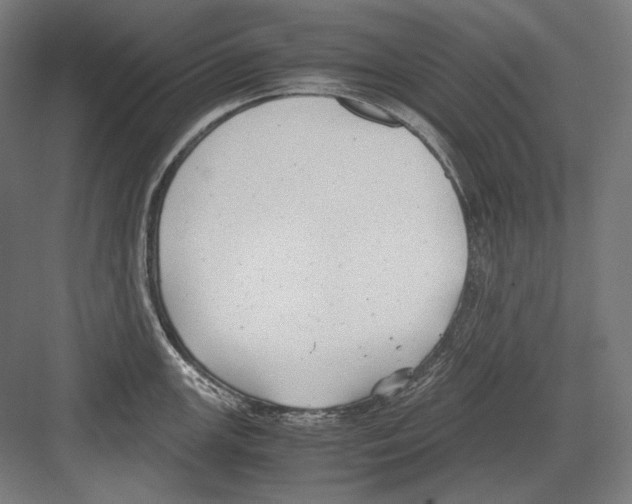 X0000081571147200702121415