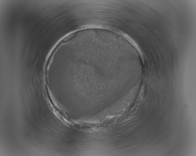 X0000081571148200702121415