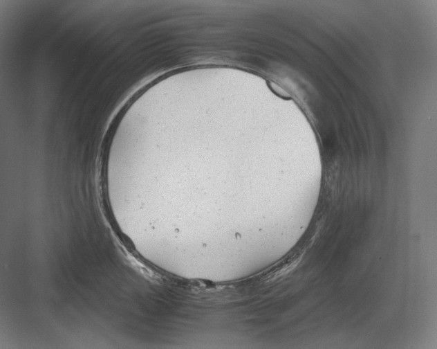 X0000081571149200702121415