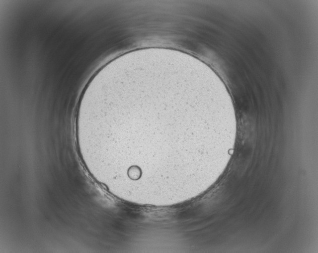 X0000081571150200702121415