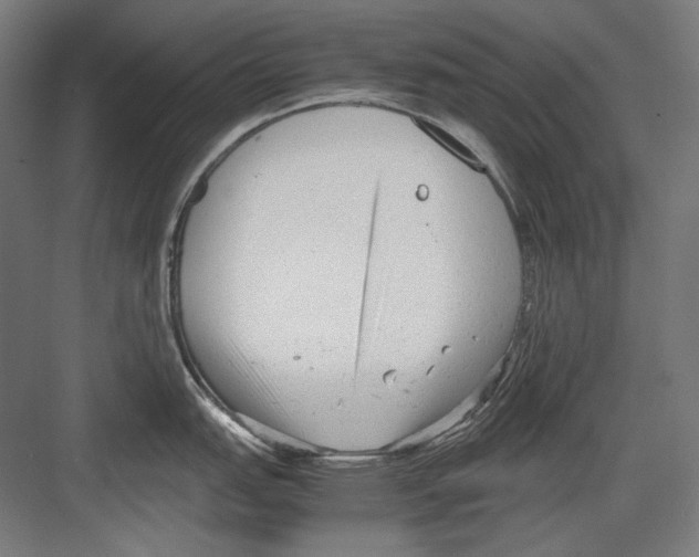 X0000081571151200702121415