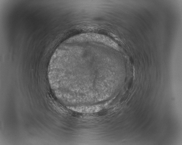 X0000081571153200702121414