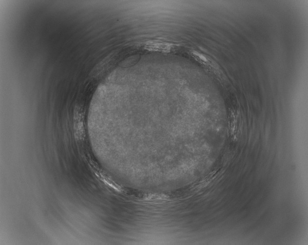 X0000081571154200702121414