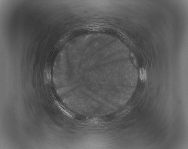 X0000081571155200702121414