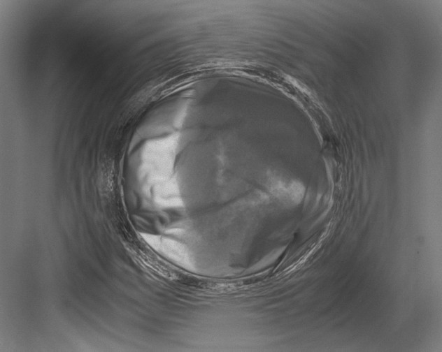 X0000081571161200702121414