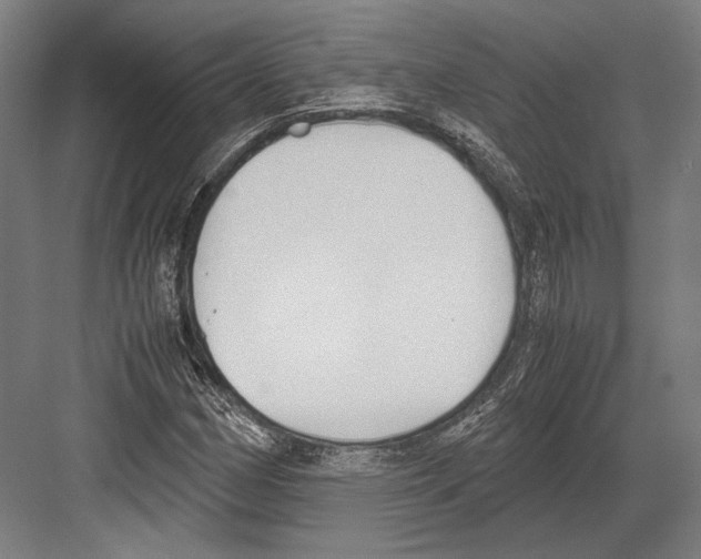 X0000081571162200702121414