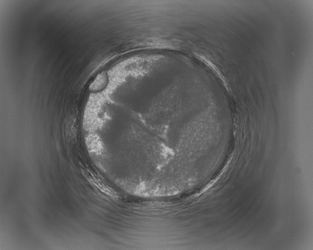 X0000081571163200702121414