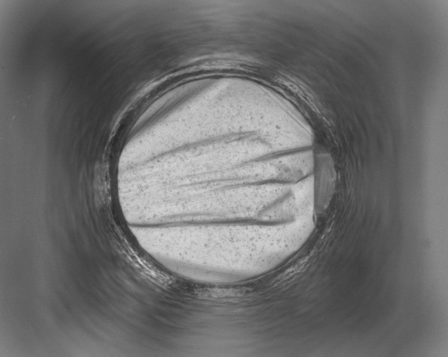 X0000081571164200702121414