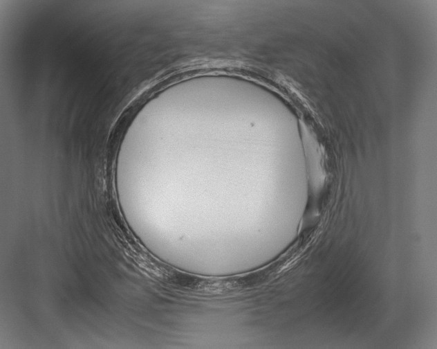 X0000081571165200702121414