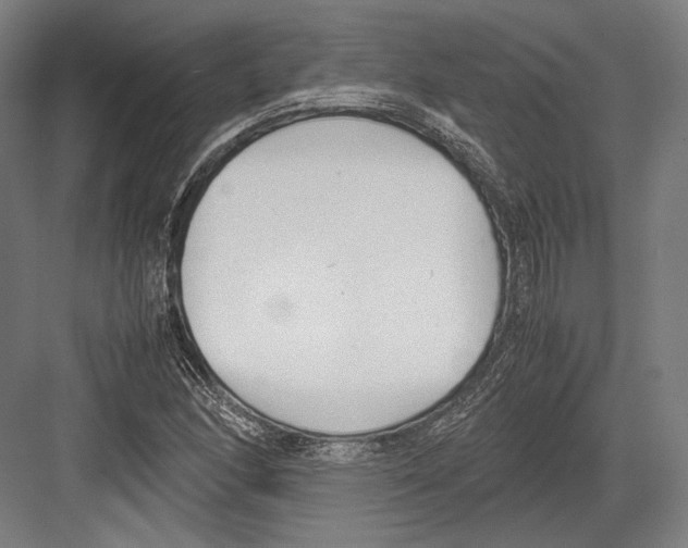 X0000081571166200702121414