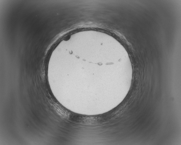 X0000081571167200702121414