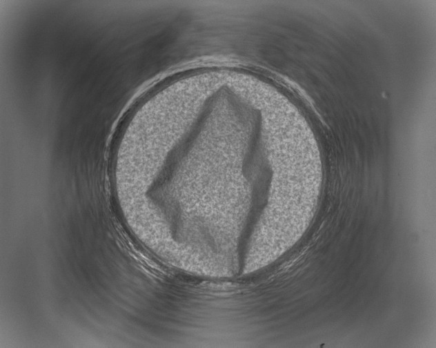 X0000081571168200702121414