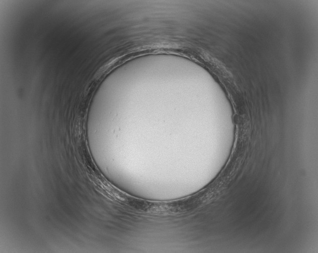 X0000081571169200702121414