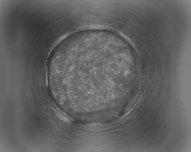 X0000081571171200702121414