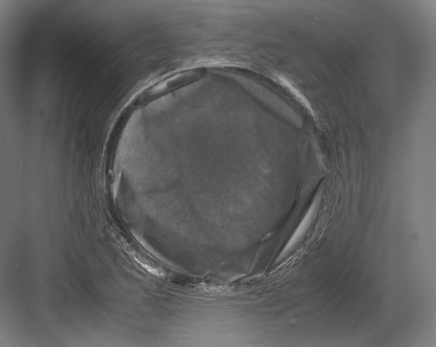 X0000081571173200702121414