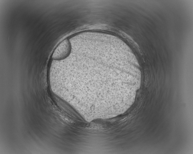 X0000081571174200702121414