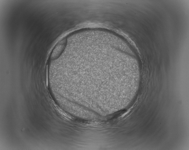 X0000081571175200702121414