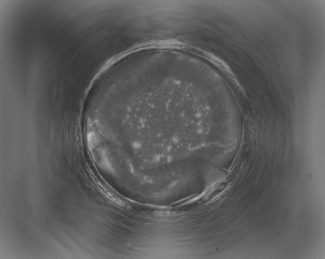 X0000081571176200702121414