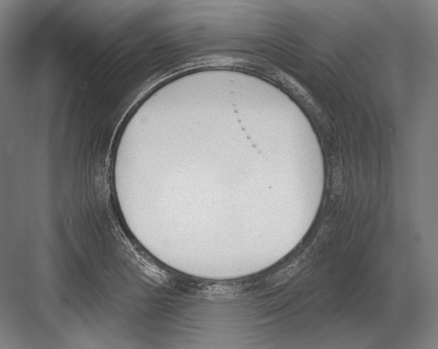 X0000081571178200702121414