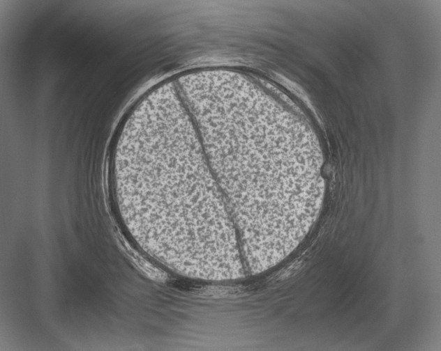 X0000081571179200702121414