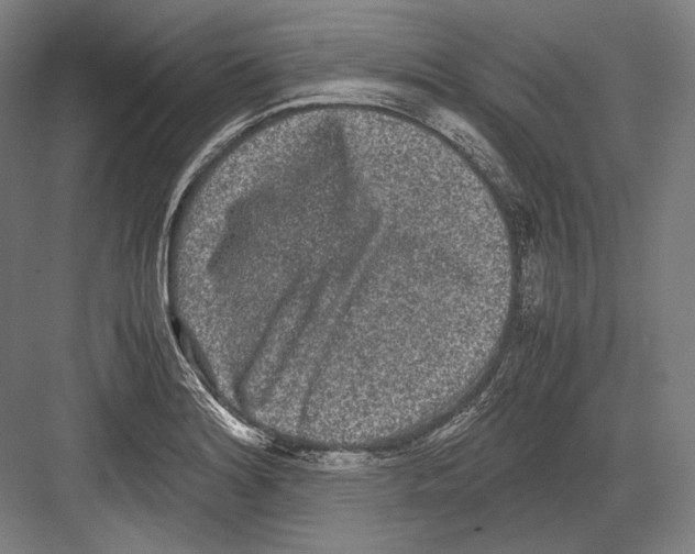 X0000081571180200702121414