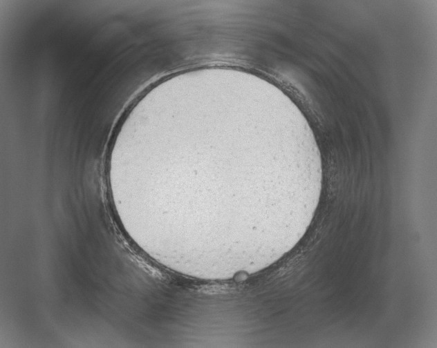 X0000081571182200702121414