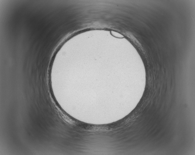 X0000081571183200702121414