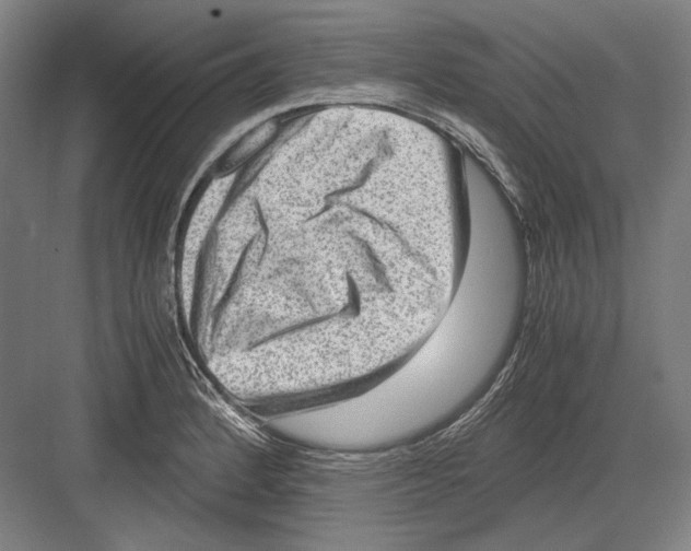 X0000081571184200702121414