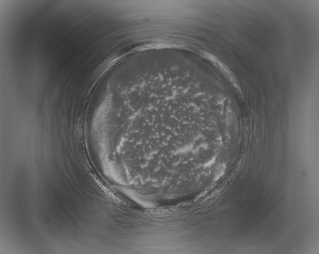 X0000081571185200702121414