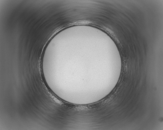 X0000081571186200702121414