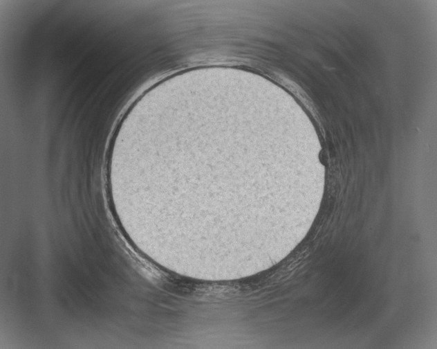 X0000081571187200702121414