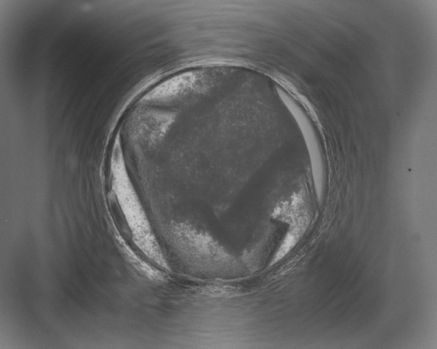 X0000081571189200702121414