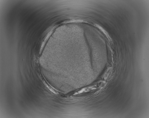 X0000081571193200702121414