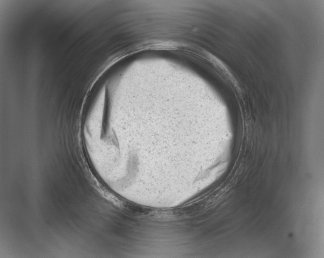 X0000081571194200702121414