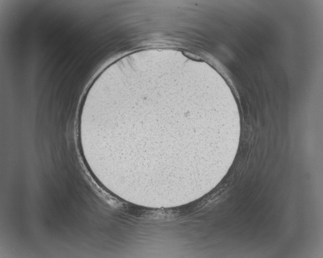 X0000081571195200702121414