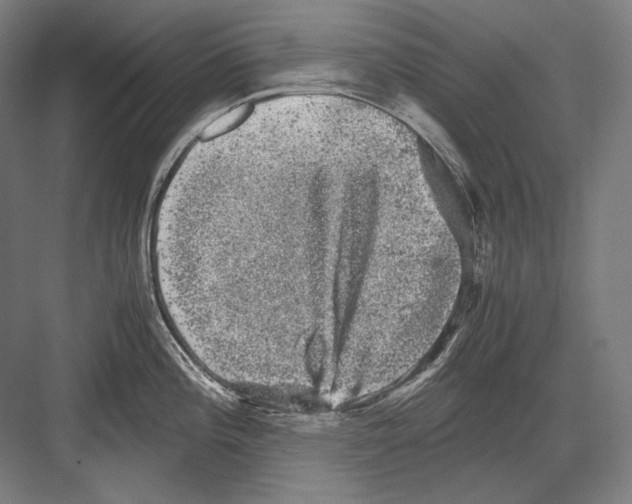 X0000081571196200702121414