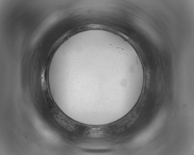 X0000081571198200702121413