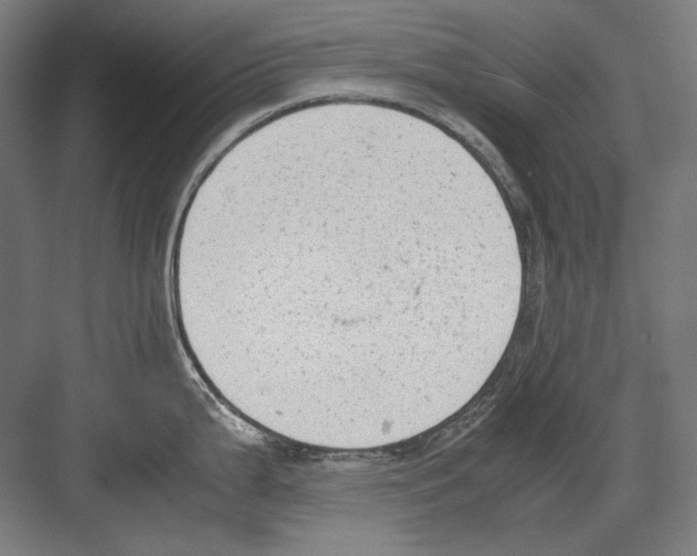 X0000081571199200702121413