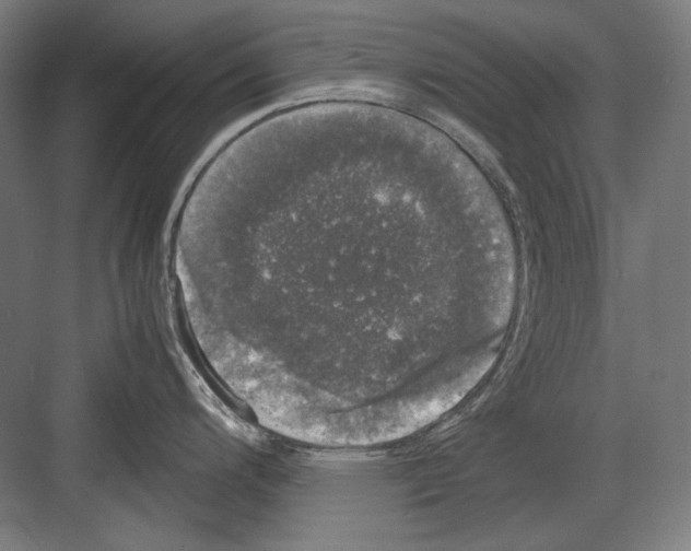 X0000081571200200702121413