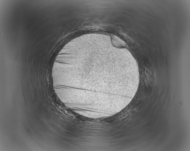 X0000081571206200702121413