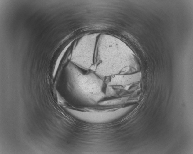 X0000081571210200702121413