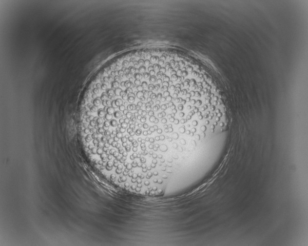 X0000081571212200702121413