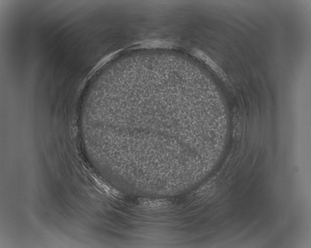 X0000081571213200702121413