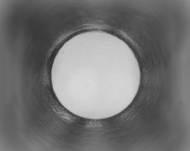 X0000081571215200702121413