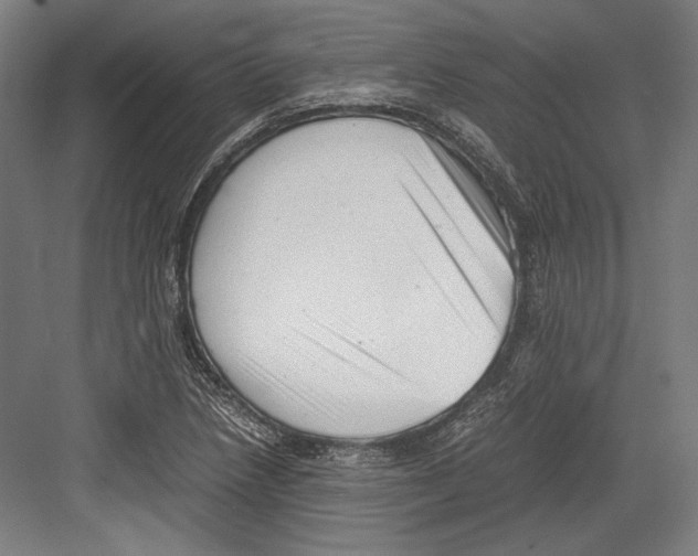 X0000081571218200702121413