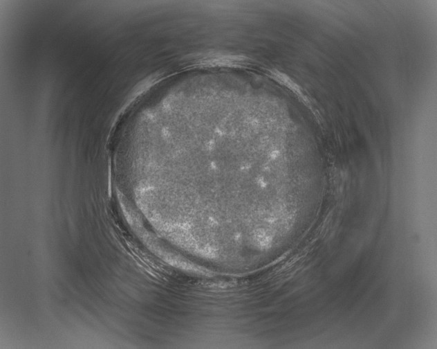 X0000081571219200702121413