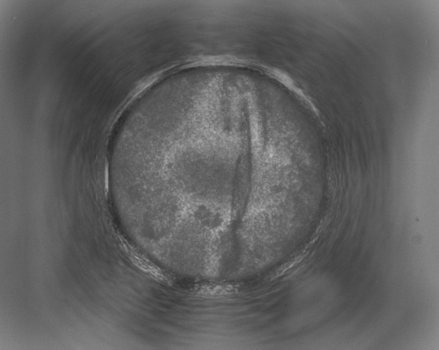 X0000081571221200702121413