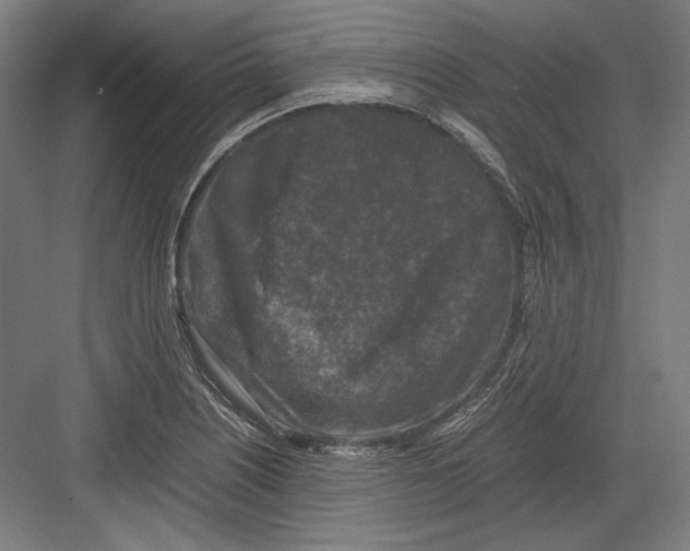 X0000081571226200702121413